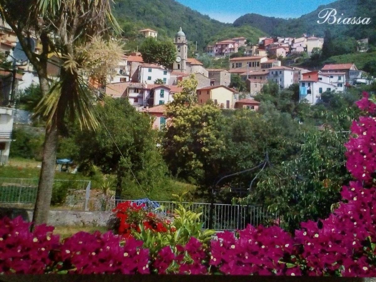 فيلا Biassaفي Casa Elsa المظهر الخارجي الصورة